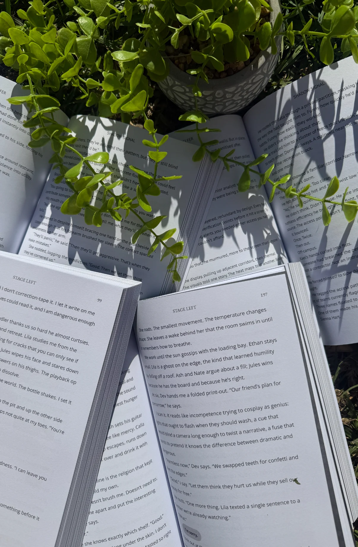 Interior Book Spreads Flat Lay | Print Formatted Books | Book Marketing