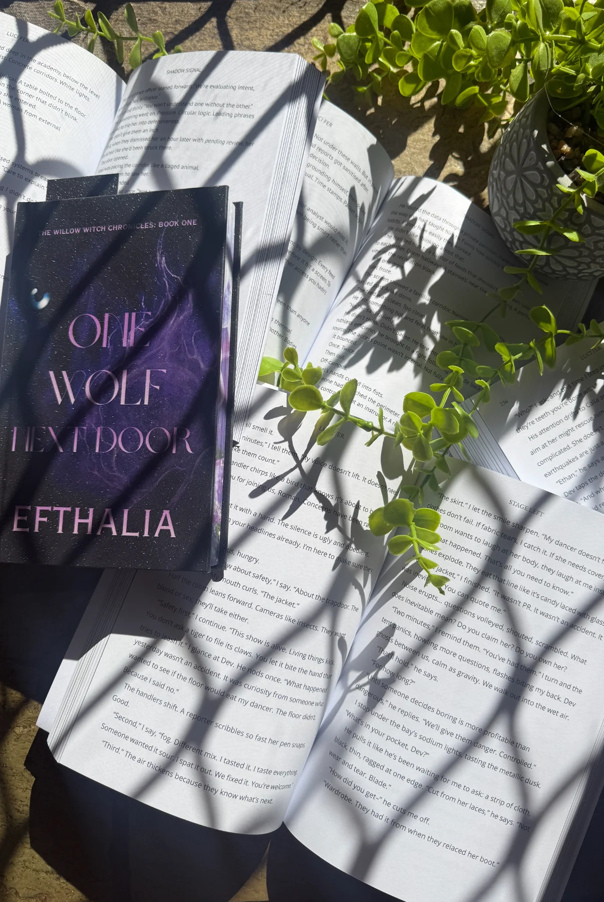 Page Turner Studios Formatting Flat Lay Special Edition Book Formatting | Plant and shadows from the sun | Book Marketing
